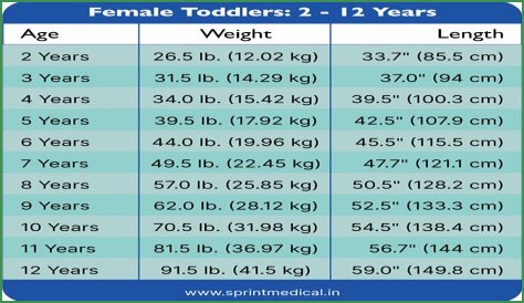 Nacer Chadli Net Worth, Weight, Age, Height, Bio